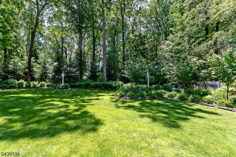11 Red Oak Row Chester, NJ 07930 - Photo 44 of 50