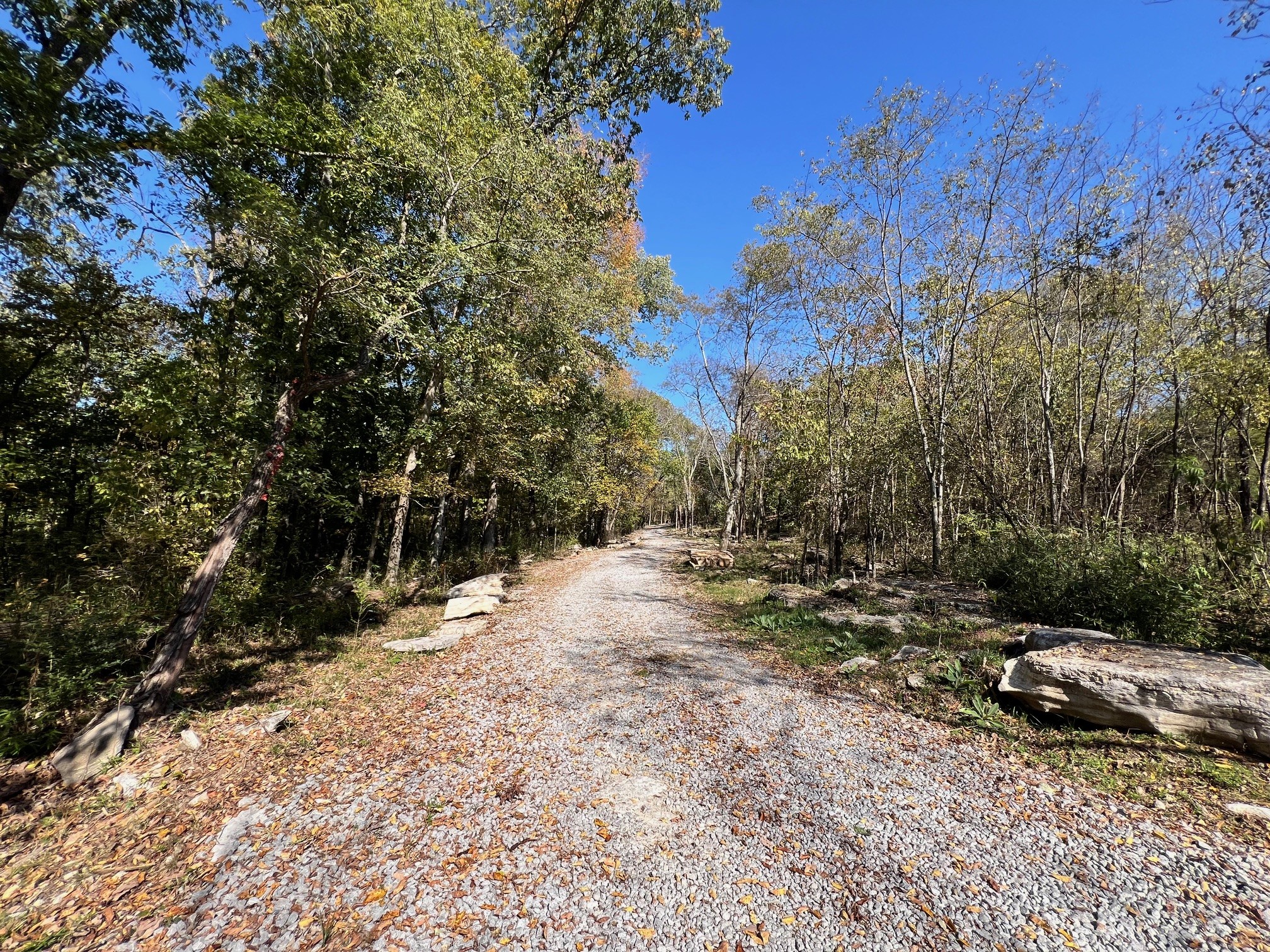 55 Bluebird Rd Extension Lebanon, TN 37087 - Photo 16 of 23 Gallery Image 16