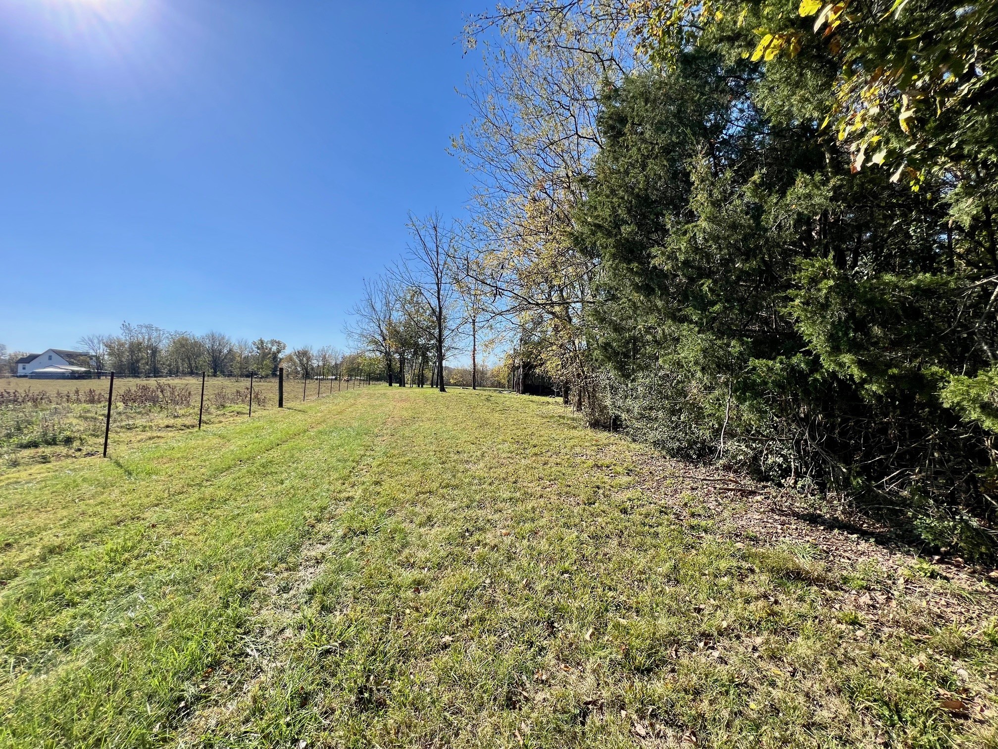 55 Bluebird Rd Extension Lebanon, TN 37087 - Photo 18 of 23 Gallery Image 18