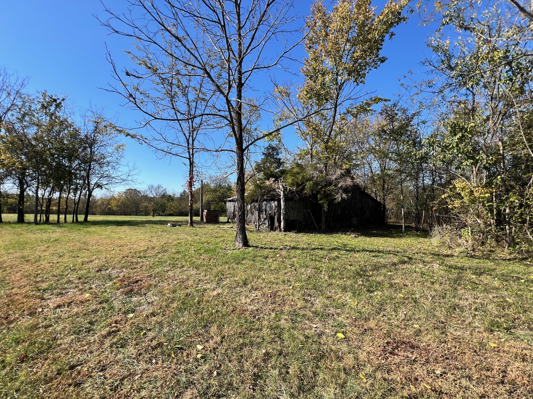 55 Bluebird Rd Extension Lebanon, TN 37087 - Photo 19 of 23 Gallery Image 19