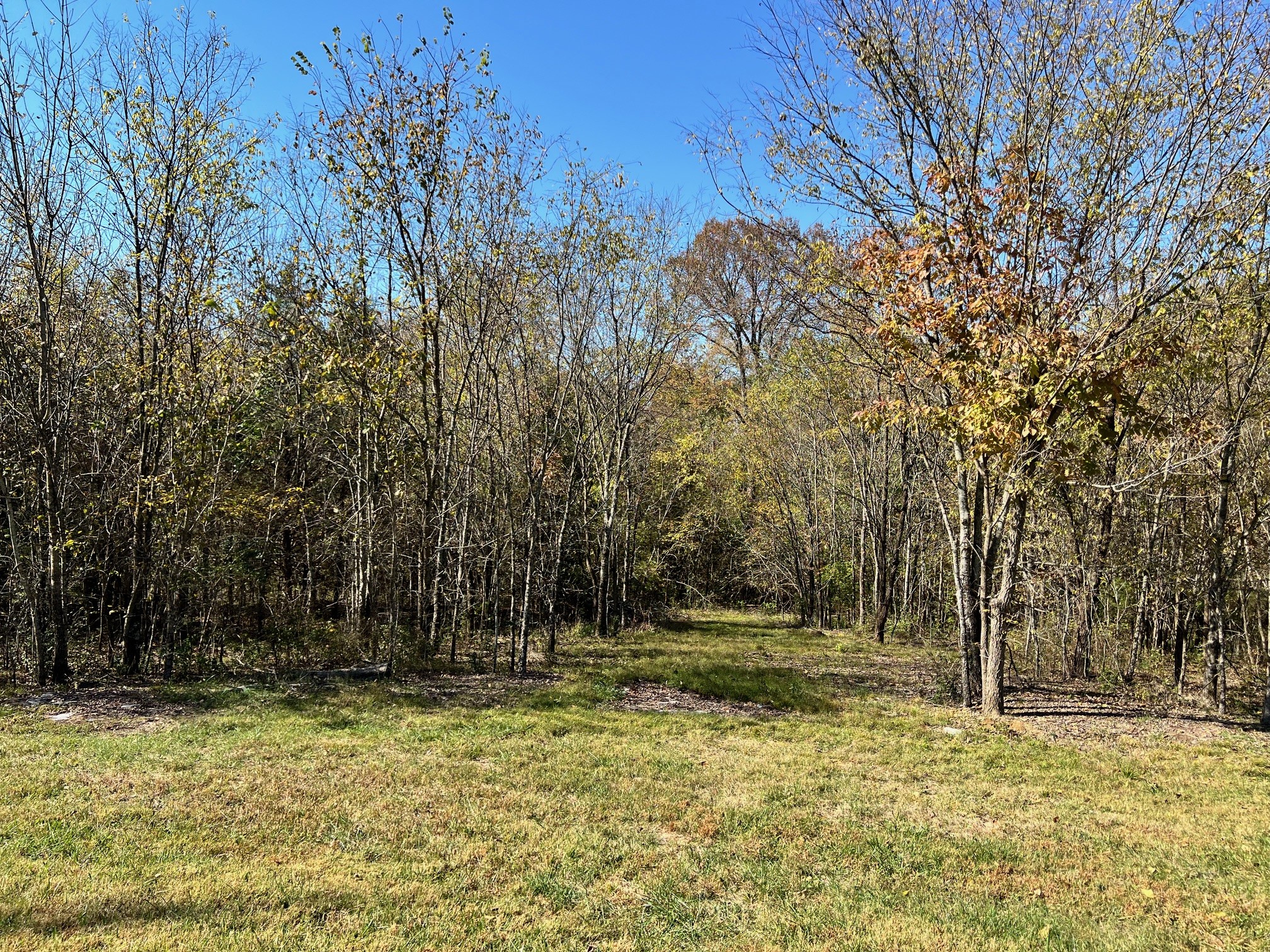 55 Bluebird Rd Extension Lebanon, TN 37087 - Photo 23 of 23 Gallery Image 23