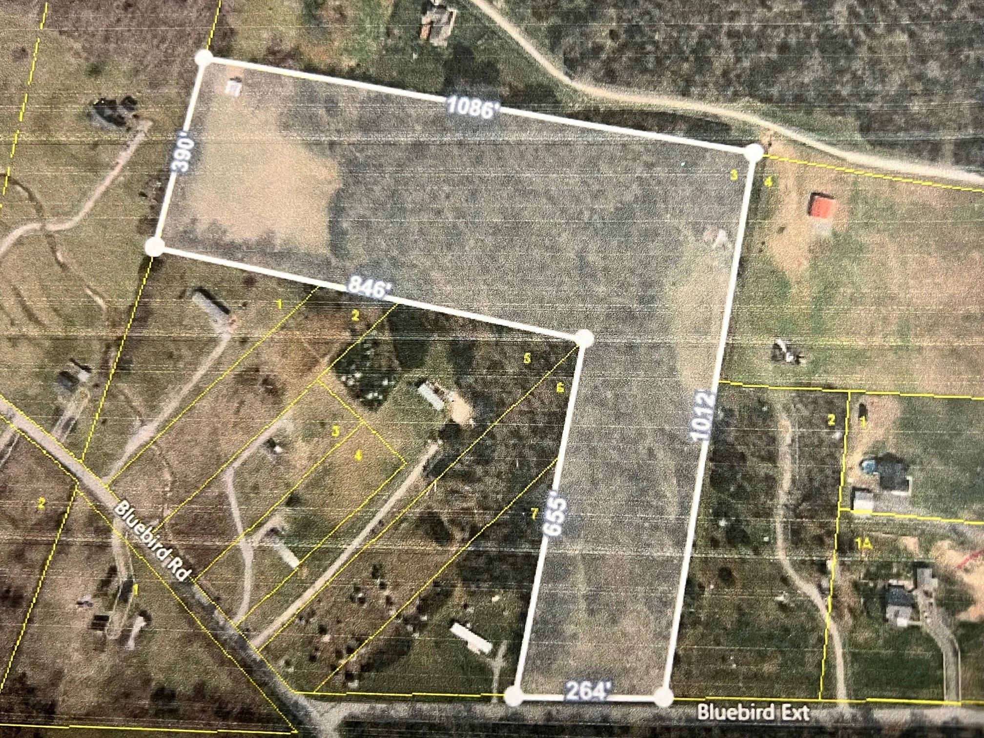 55 Bluebird Rd Extension Lebanon, TN 37087 - Photo 5 of 23 Approximate layout of the property. Cleared area in the front and again to the far left and another cleared area to the far right back/side. There is a well on the far right side by the older wooden barn.