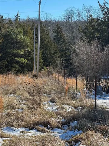 $15,500 | 0 Walnut Road, Plato, MO 65552