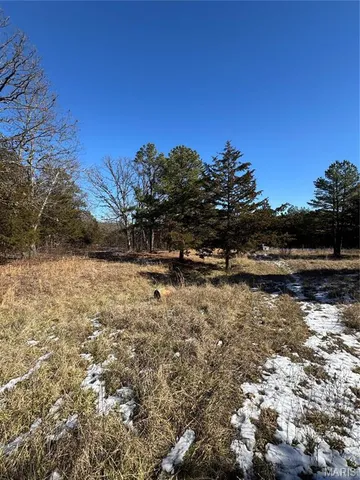 $15,500 | 0 Walnut Road, Plato, MO 65552