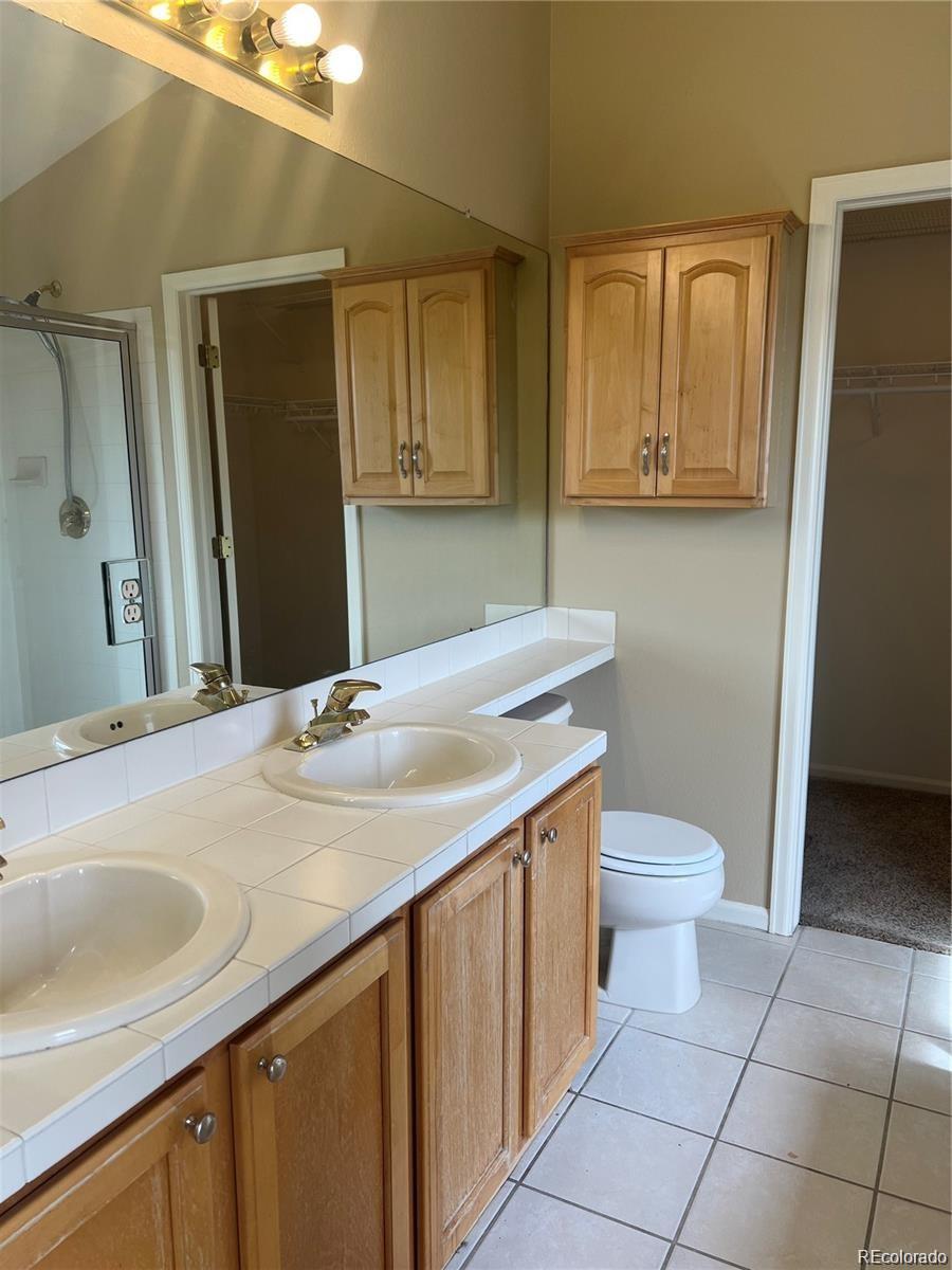 5353 Rhyolite Way Parker, CO 80134 - Photo 17 of 22 a bathroom with a sink a toilet and a mirror