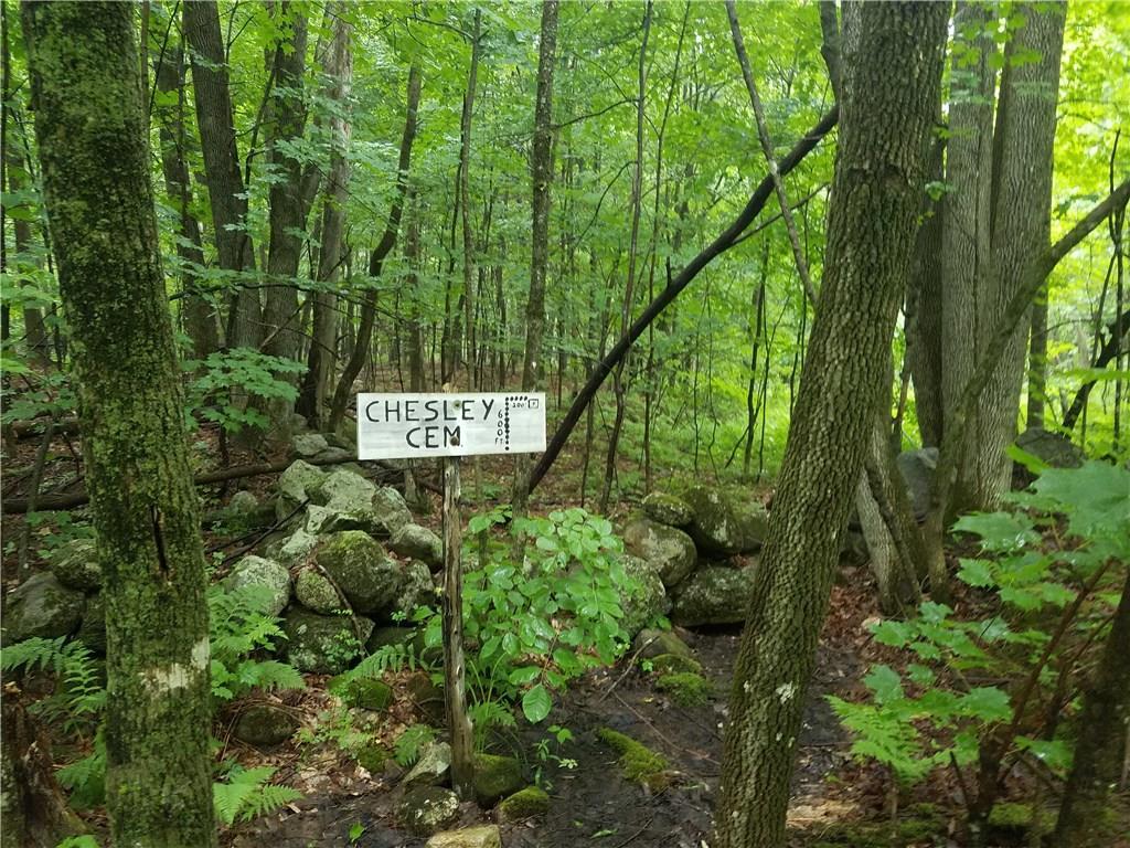 Tbd Ben Stone Road Hebron, ME 04238 - Photo 11 of 16 Photo