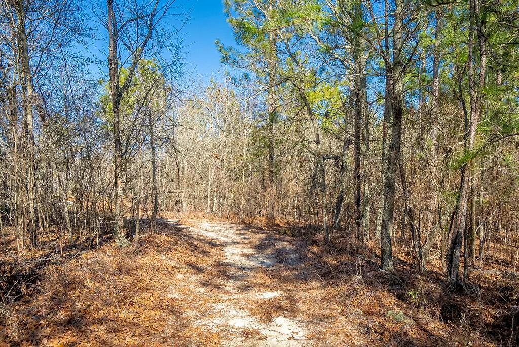 0 East Frontage Road Aiken, SC 29805 - Photo 10 of 20
