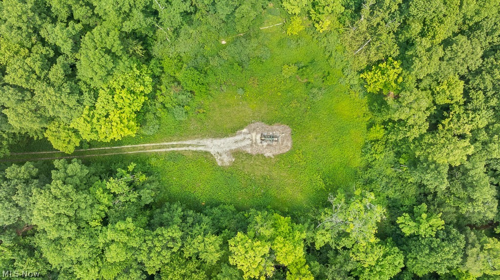 9712 Nichols Road Windham, OH 44288 - Photo 47 of 50 View of drone / aerial view