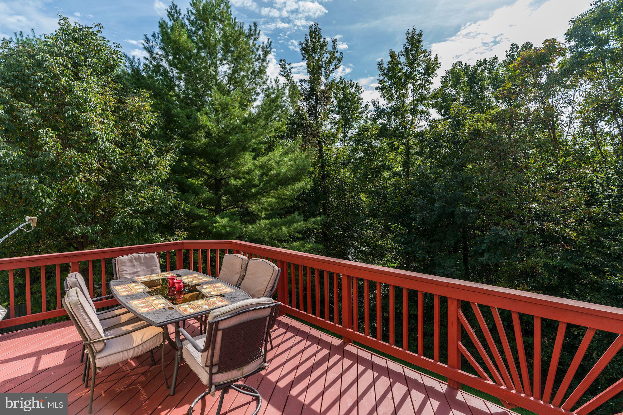 8708 Wadebrook Terrace Springfield, VA 22153 - Photo 14 of 30 Back Deck