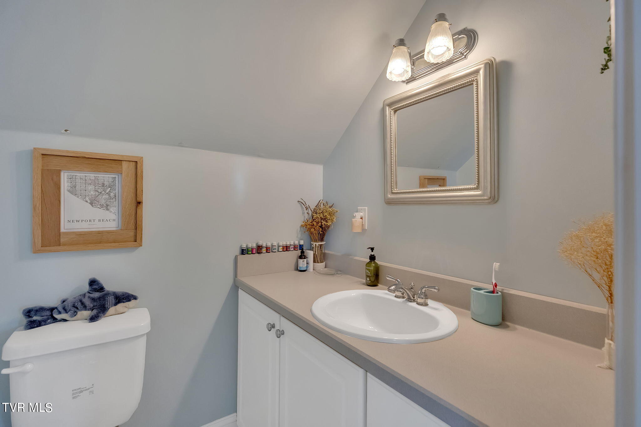 345 Allison Road Piney Flats, TN 37686 - Photo 73 of 87 64-web-or-mls-217A3386