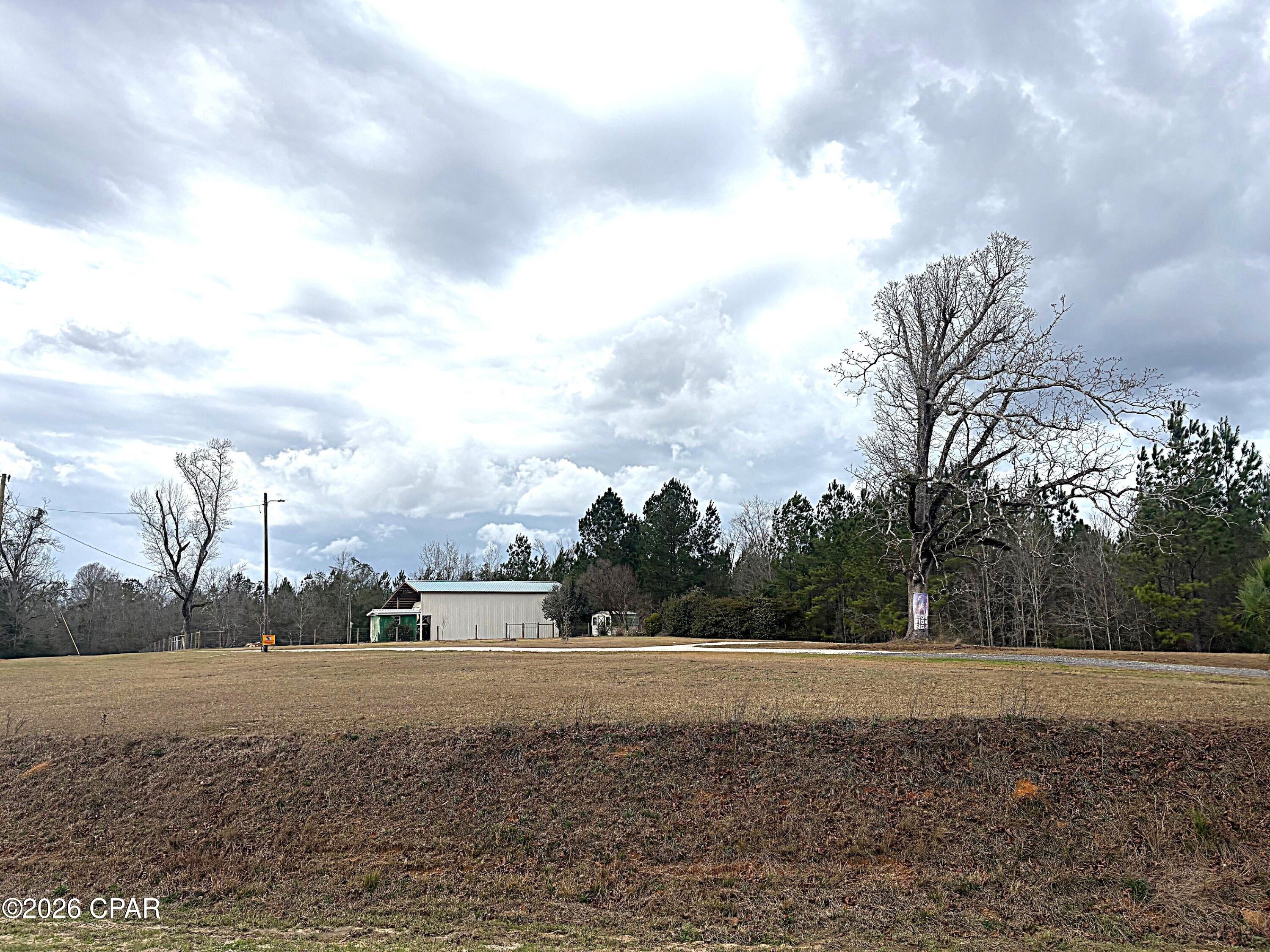 2103 Holley Timber Road Cottondale, FL 32431 - Photo 4 of 21 Gallery Image 4