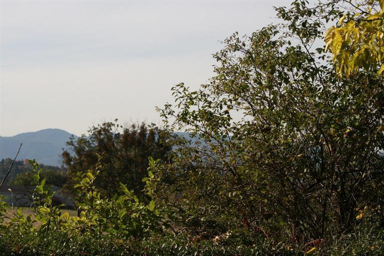 3895 Coal Mine Road Medford, OR 97504 - Photo 25 of 33 Additional Photo