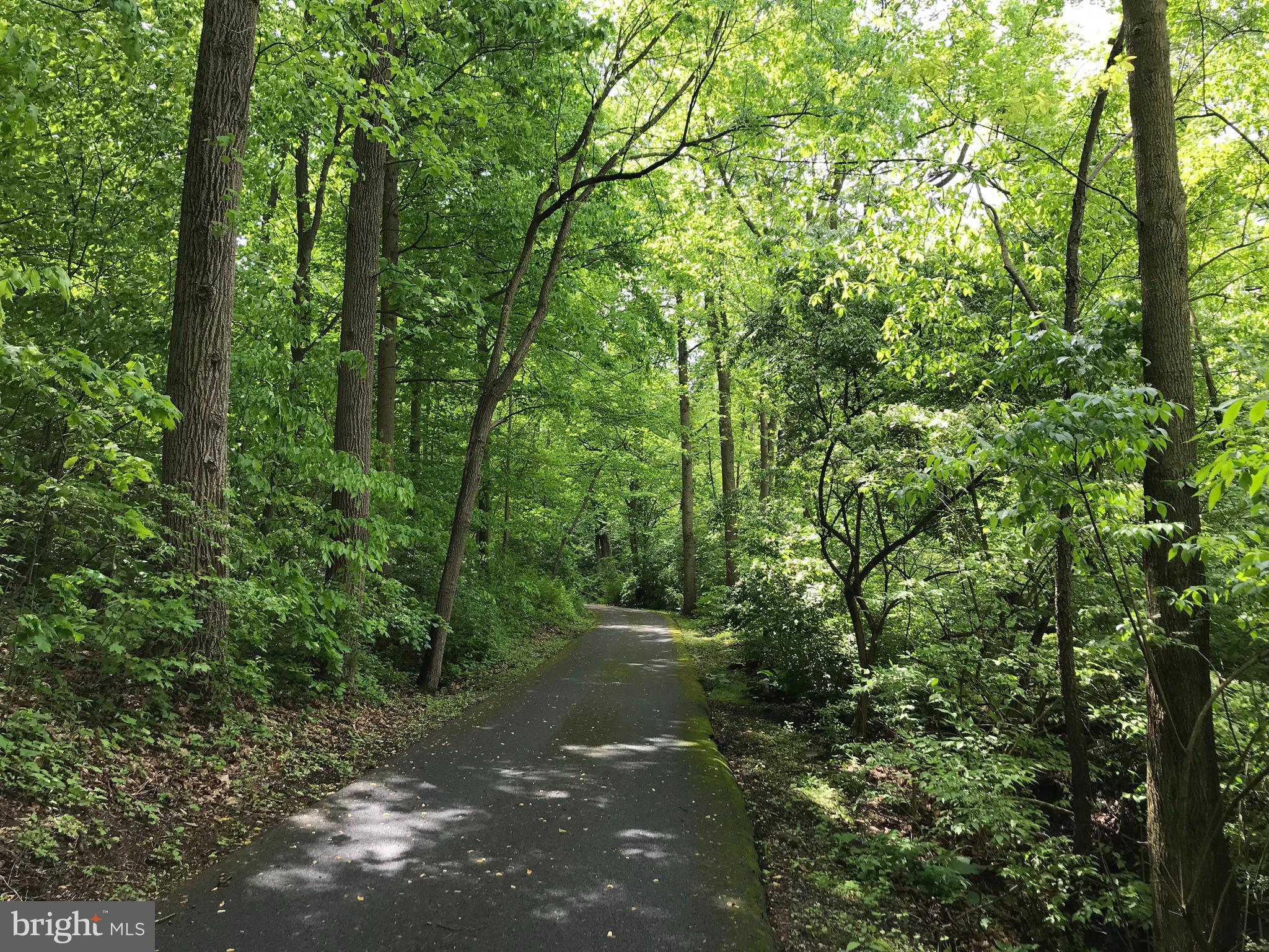 204 Wheatfield Road Reading, PA 19608 - Photo 3 of 50 a view of a forest filled with trees