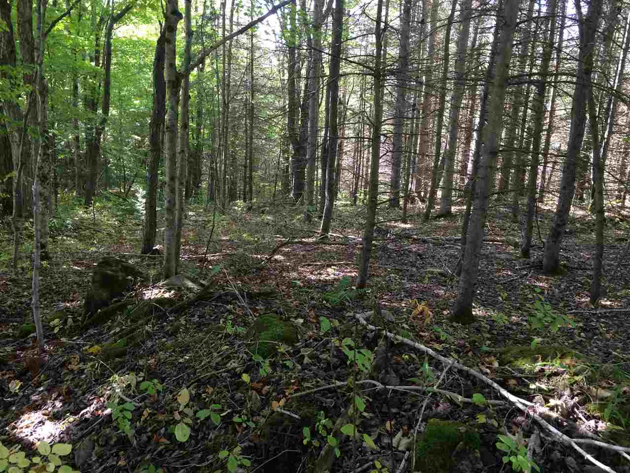 0 Eastham Road, Unit 2 Shrewsbury, VT 05738 - Photo 11 of 36