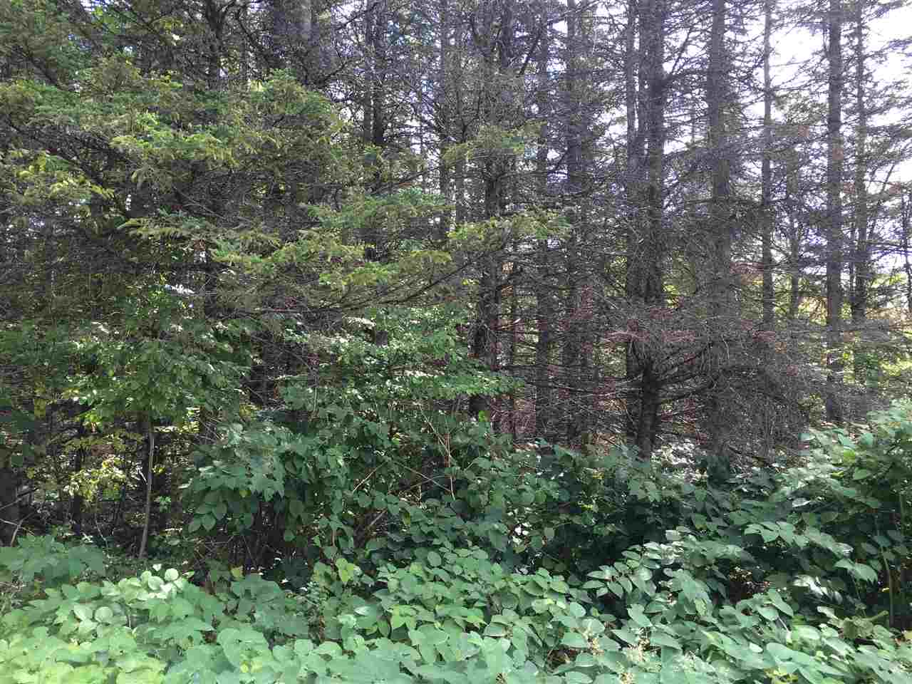 0 Eastham Road, Unit 2 Shrewsbury, VT 05738 - Photo 14 of 36