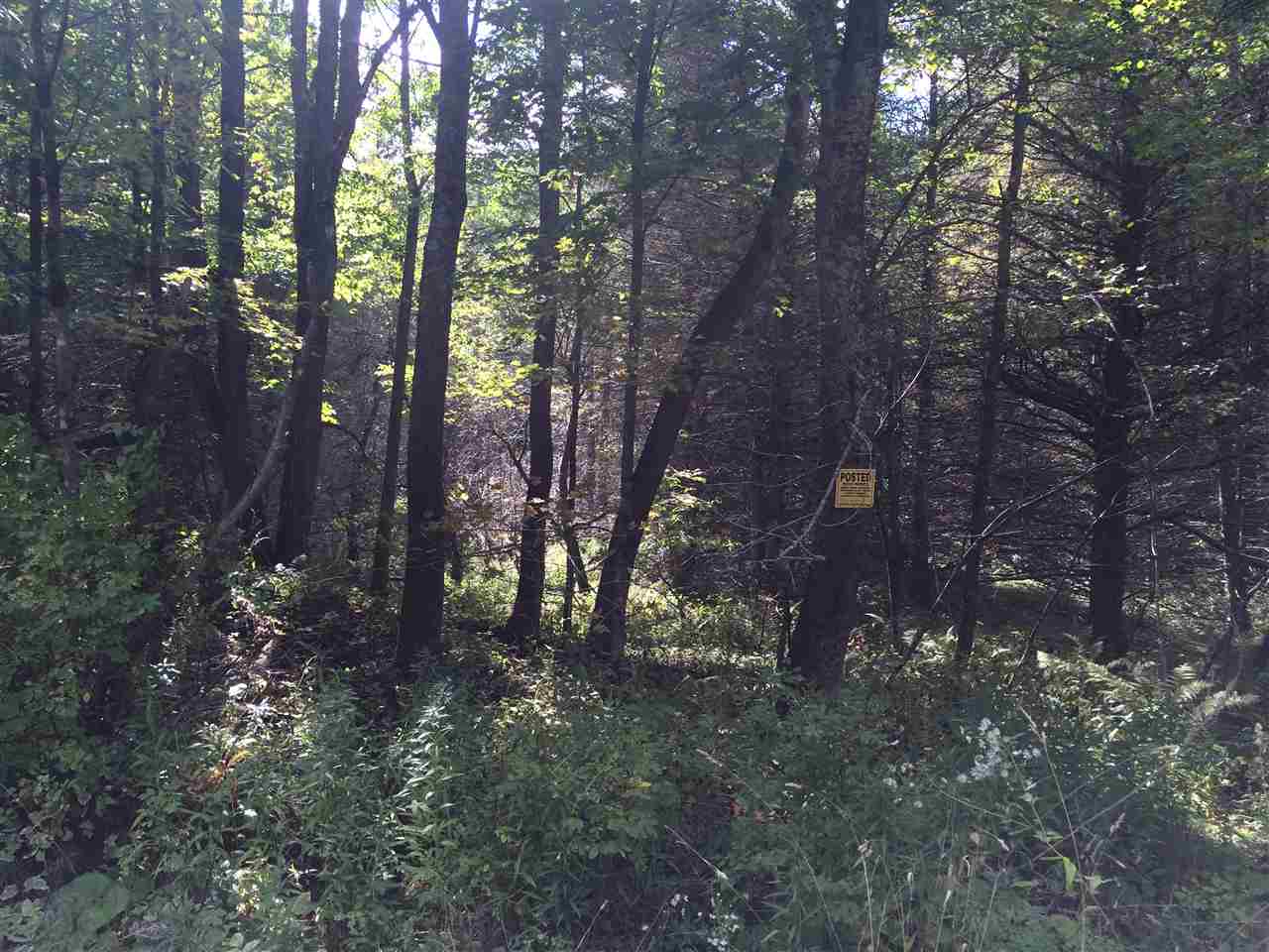 0 Eastham Road, Unit 2 Shrewsbury, VT 05738 - Photo 15 of 36