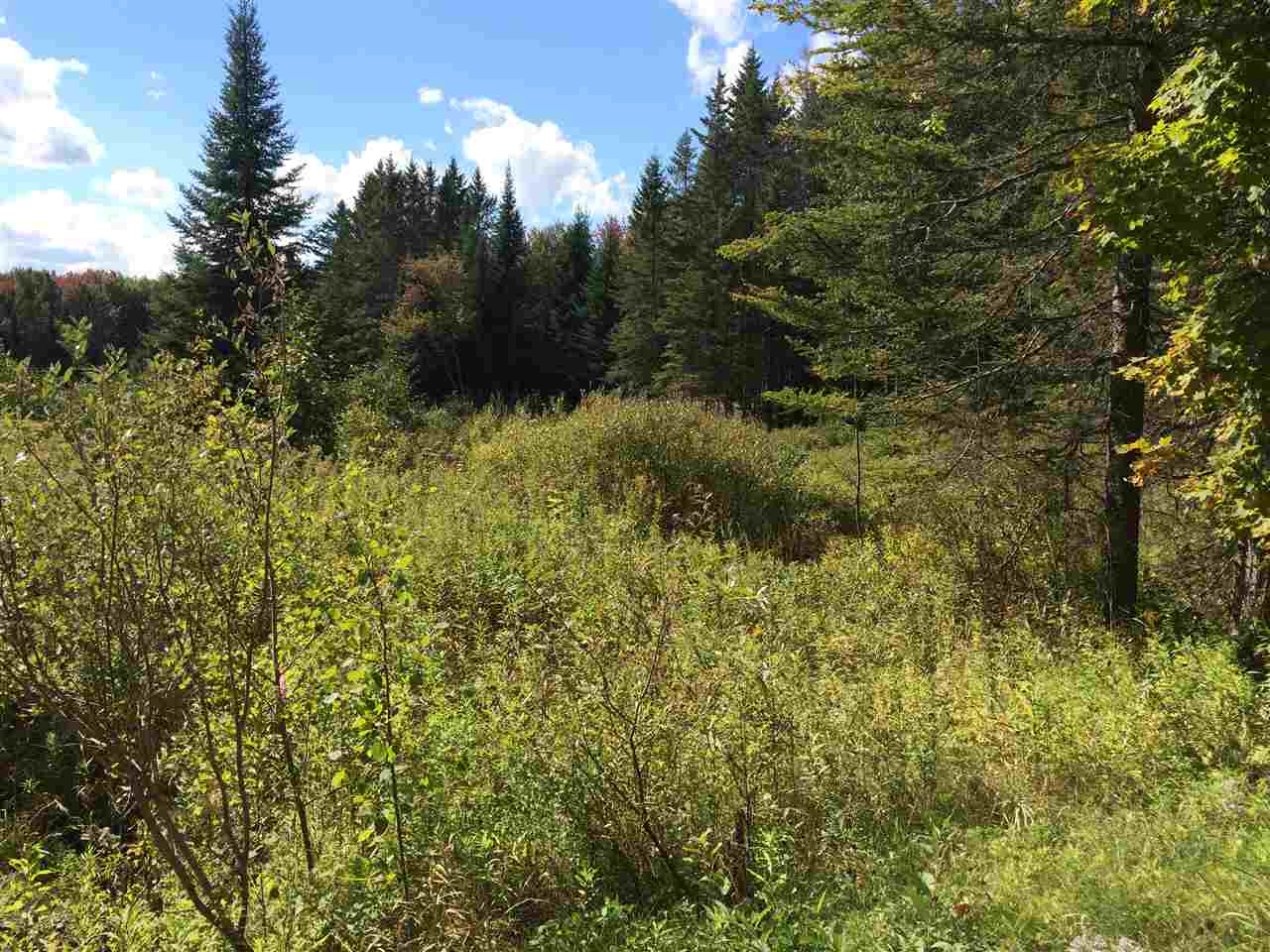 0 Eastham Road, Unit 2 Shrewsbury, VT 05738 - Photo 17 of 36