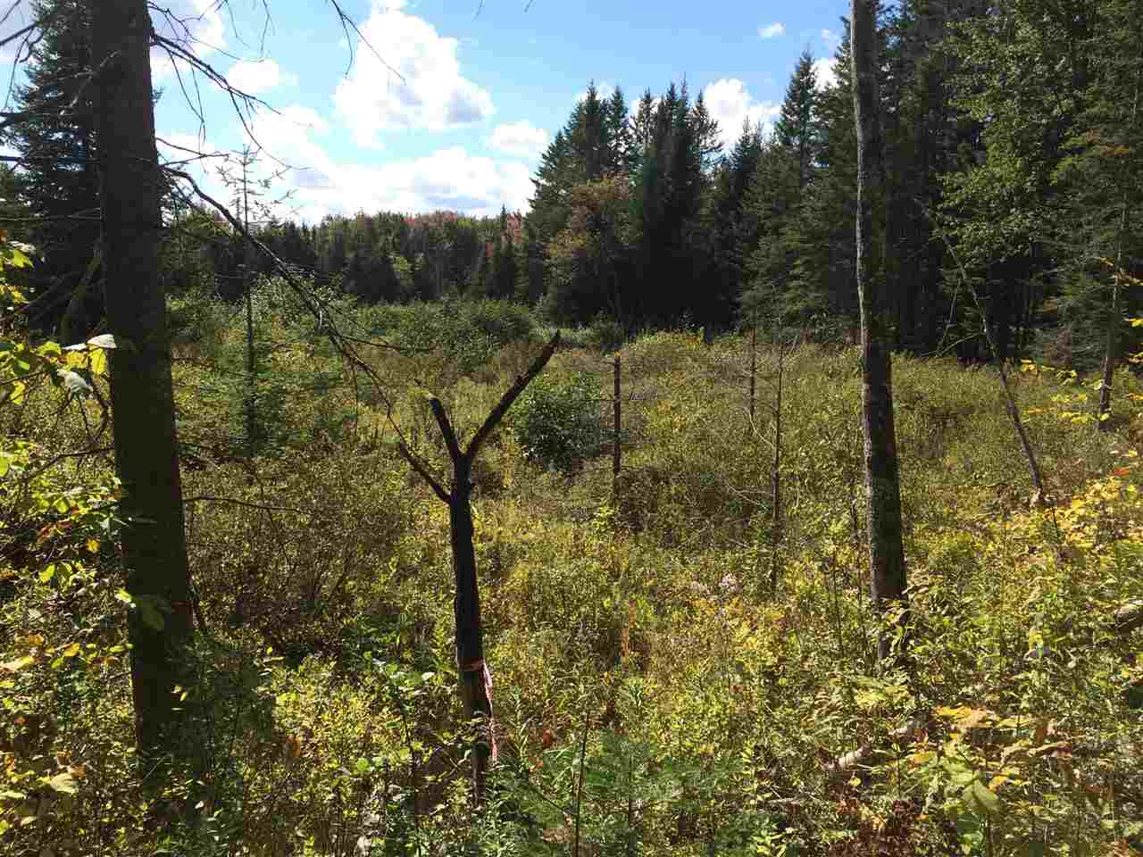 0 Eastham Road, Unit 2 Shrewsbury, VT 05738 - Photo 18 of 36
