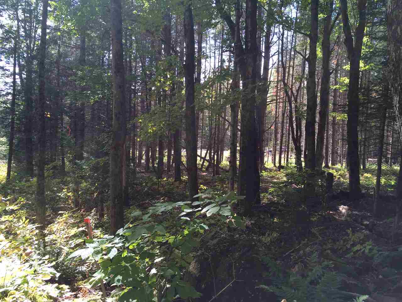 0 Eastham Road, Unit 2 Shrewsbury, VT 05738 - Photo 20 of 36