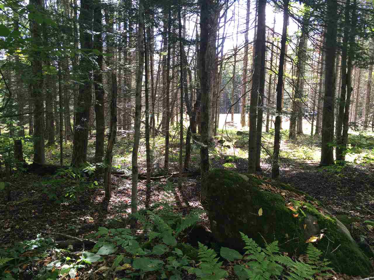 0 Eastham Road, Unit 2 Shrewsbury, VT 05738 - Photo 22 of 36