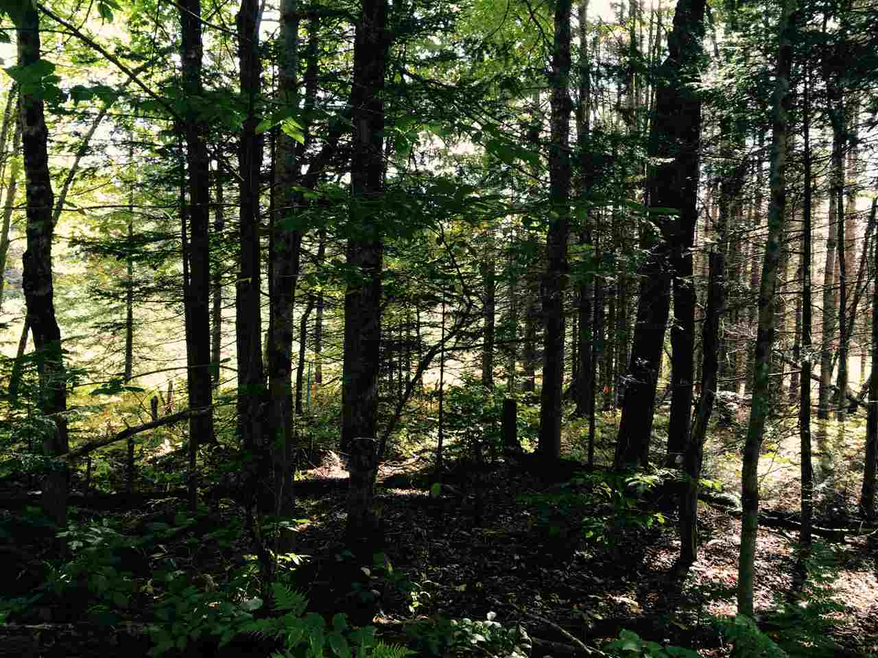 0 Eastham Road, Unit 2 Shrewsbury, VT 05738 - Photo 25 of 36