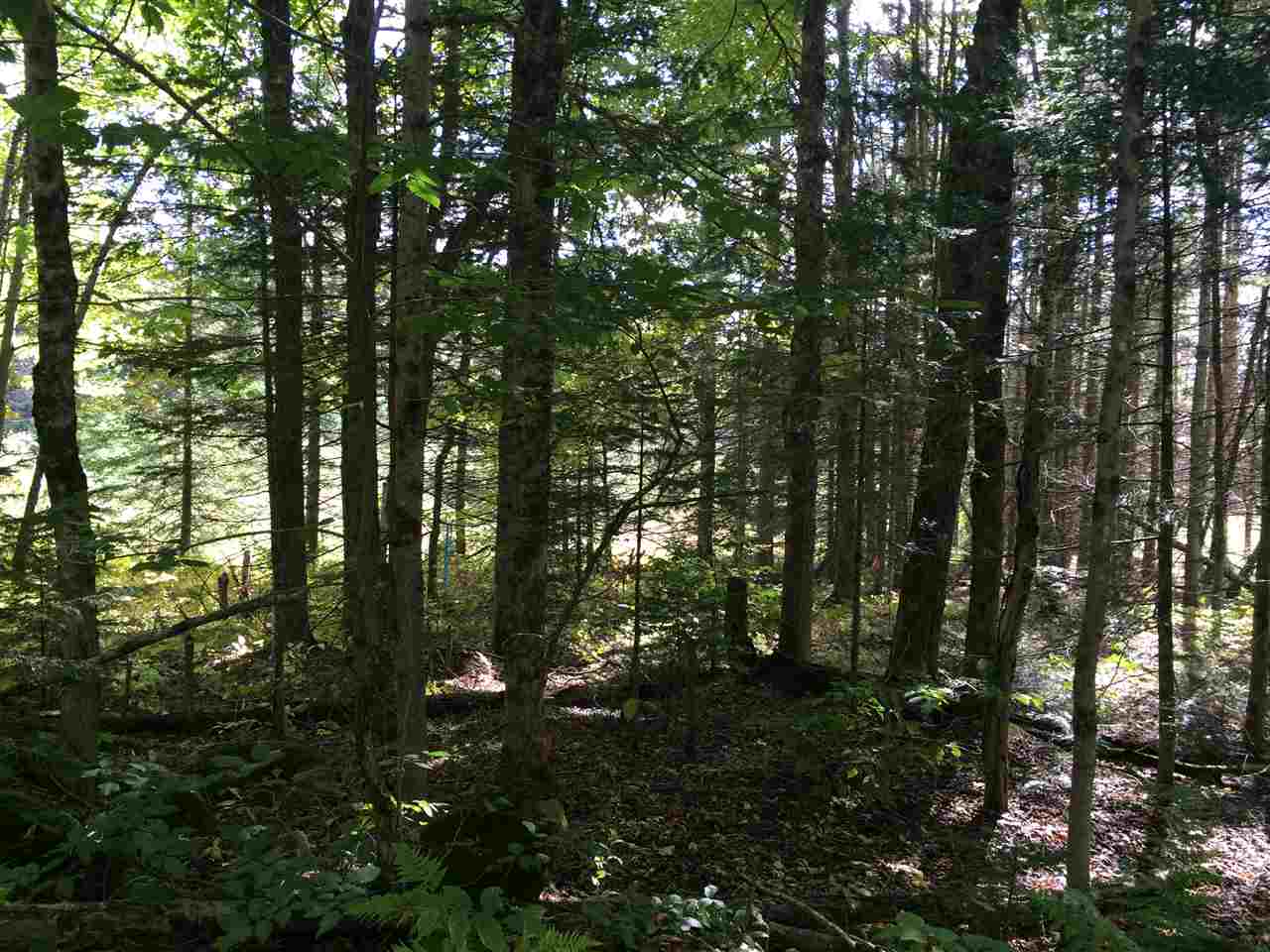 0 Eastham Road, Unit 2 Shrewsbury, VT 05738 - Photo 26 of 36