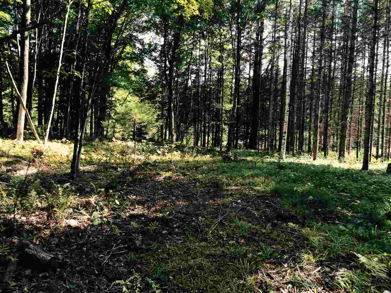 0 Eastham Road, Unit 2 Shrewsbury, VT 05738 - Photo 33 of 36