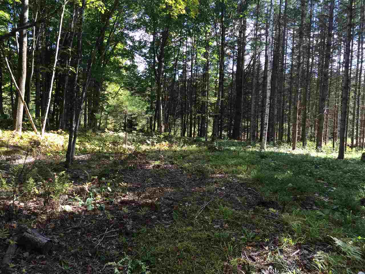 0 Eastham Road, Unit 2 Shrewsbury, VT 05738 - Photo 34 of 36