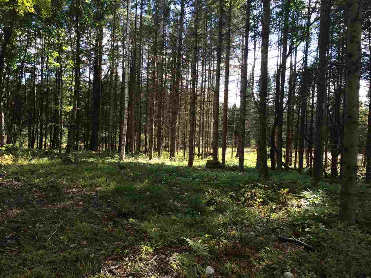 0 Eastham Road, Unit 2 Shrewsbury, VT 05738 - Photo 36 of 36
