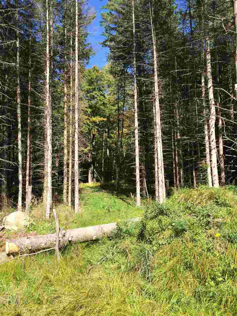 0 Eastham Road, Unit 2 Shrewsbury, VT 05738 - Photo 5 of 36