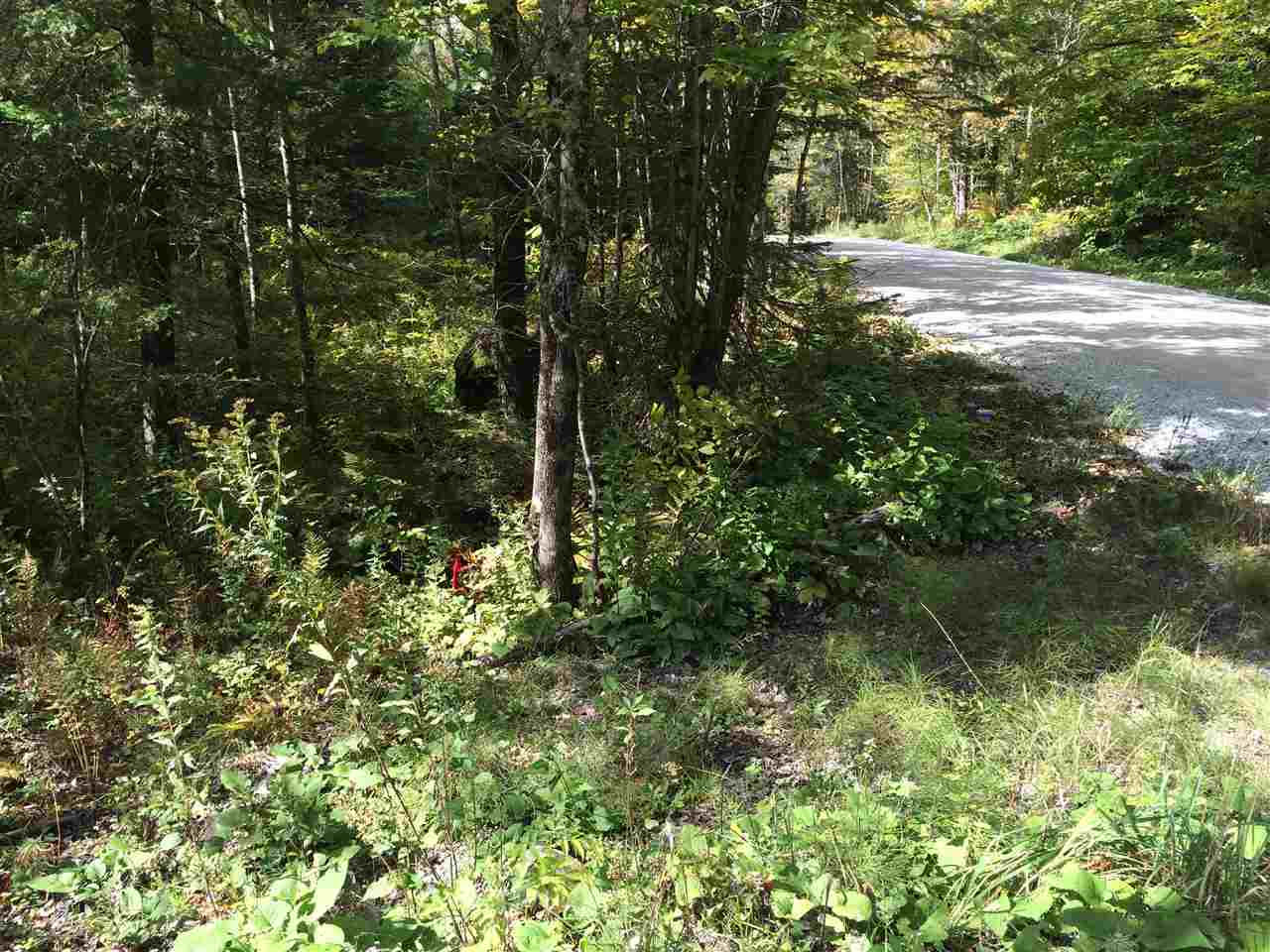 0 Eastham Road, Unit 2 Shrewsbury, VT 05738 - Photo 8 of 36