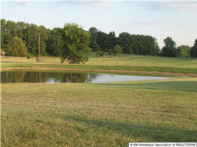 819 Box Corner Road Byhalia, MS 38611 - Photo 20 of 23 Additional Photo