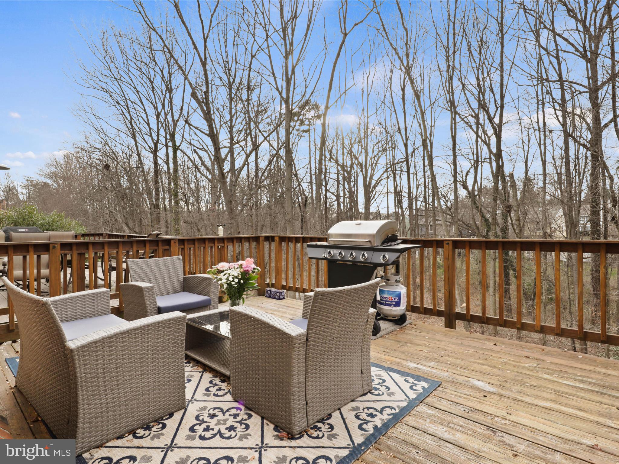1561 Autumn Ridge Circle Reston, VA 20194 - Photo 32 of 53
