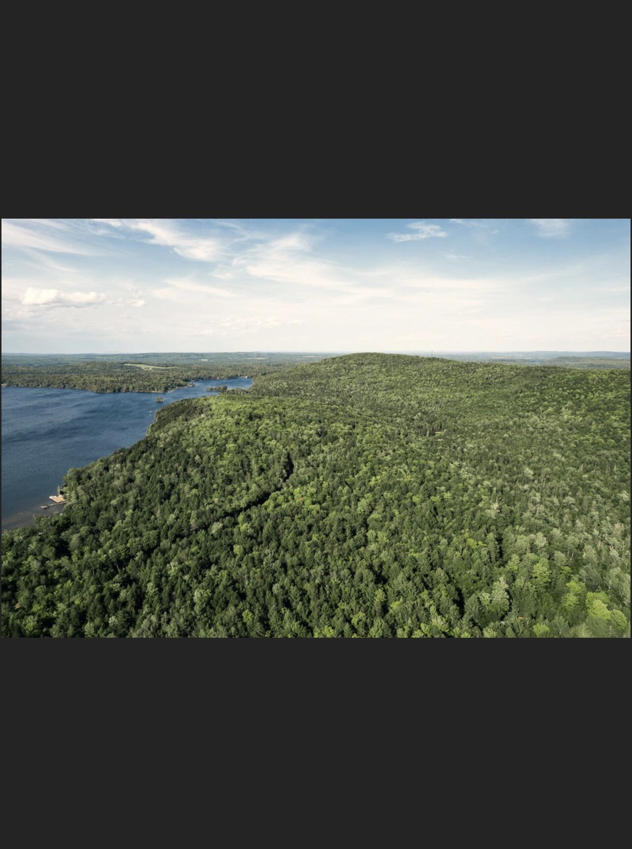Lot #2 South Shore Road Houlton, ME 04730 - Photo 3 of 12 05E43C86-AC43-4938-839E-9F18FA885814