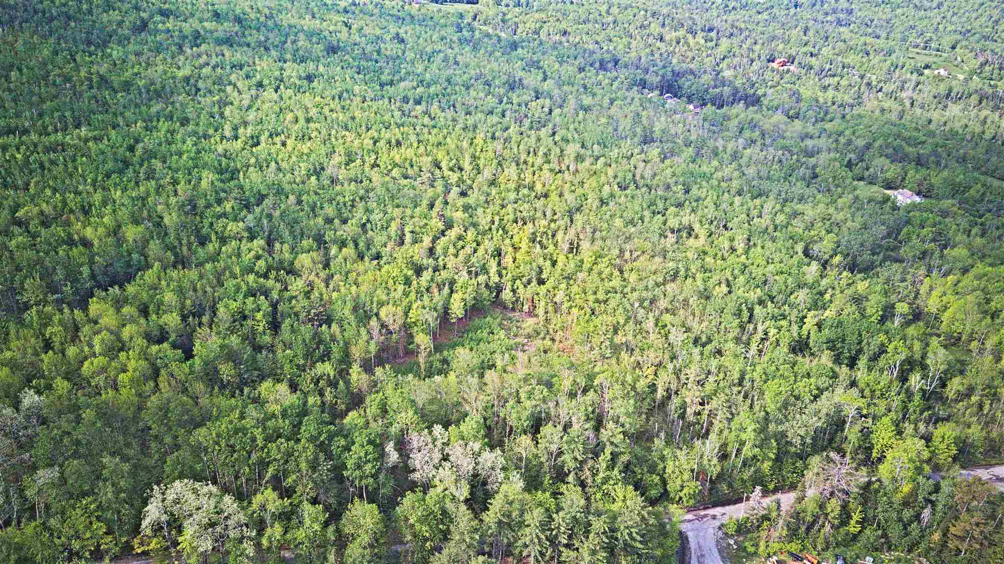 0 South Road Sugar Hill, NH 03586 - Photo 5 of 6 Gallery Image 5