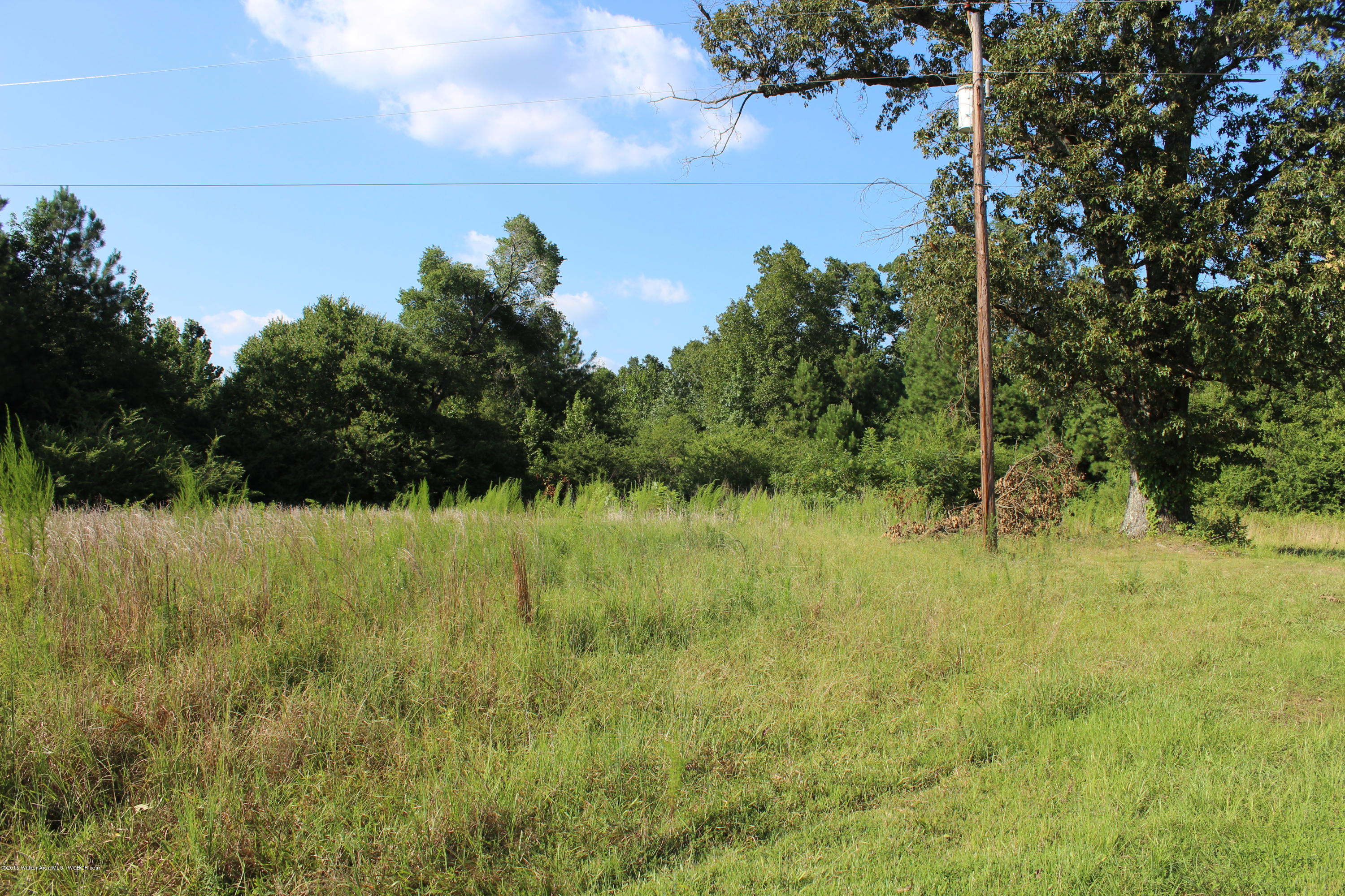 Royster Road Jasper, AL 35503 - Photo 4 of 9 Gallery Image 4