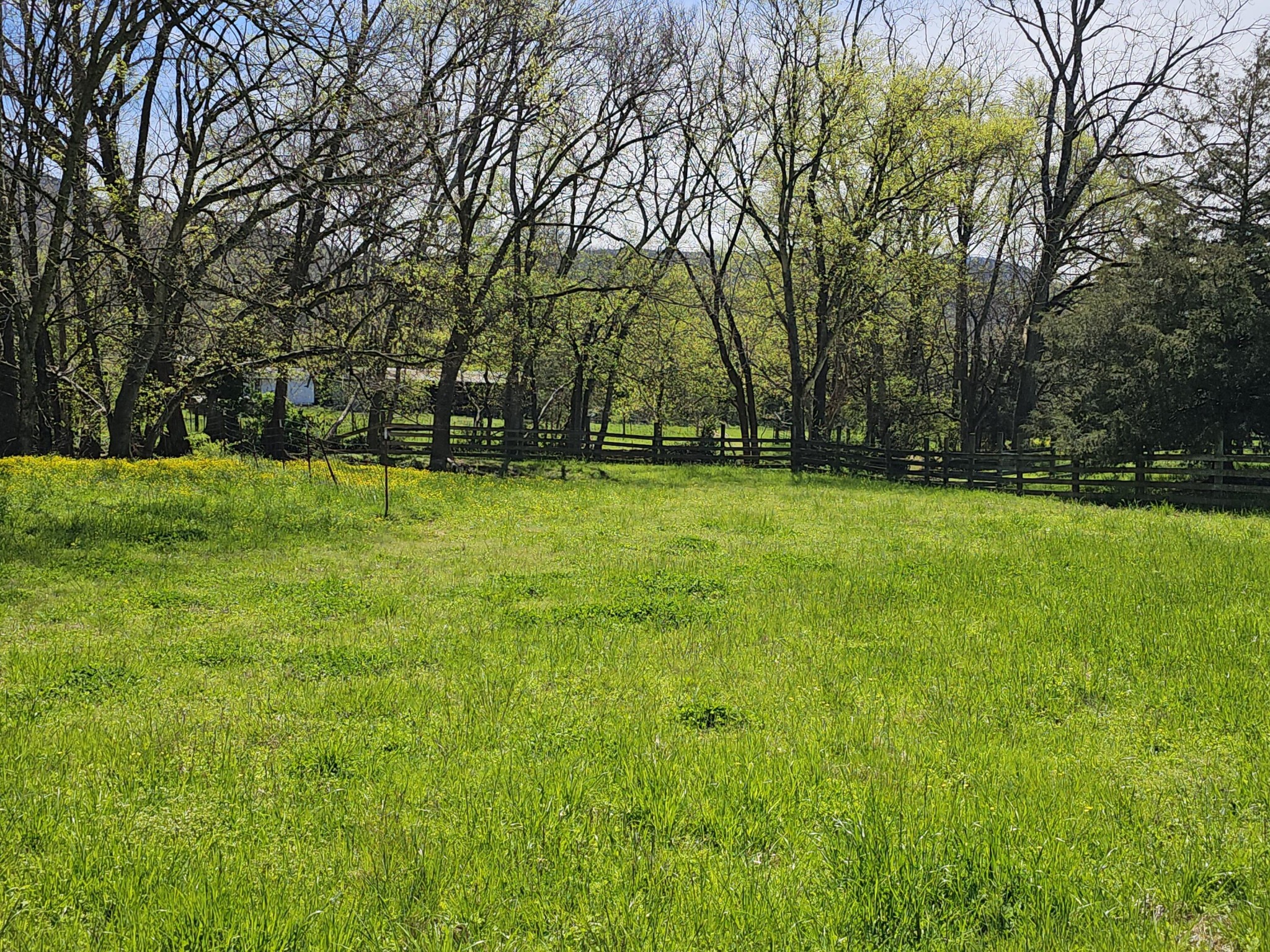 495 Lower East Valley Road Dunlap, TN 37327 - Photo 40 of 58 Gallery Image 40