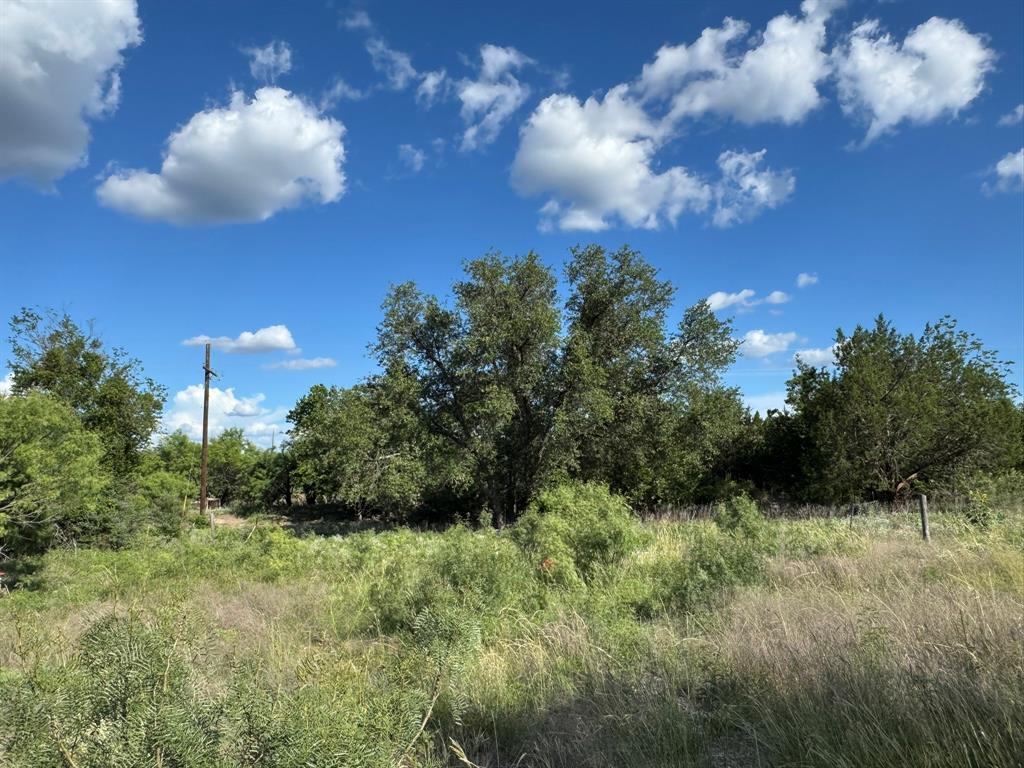 5404 Front Street Rochelle, TX 76872 - Photo 1 of 1 View of nature