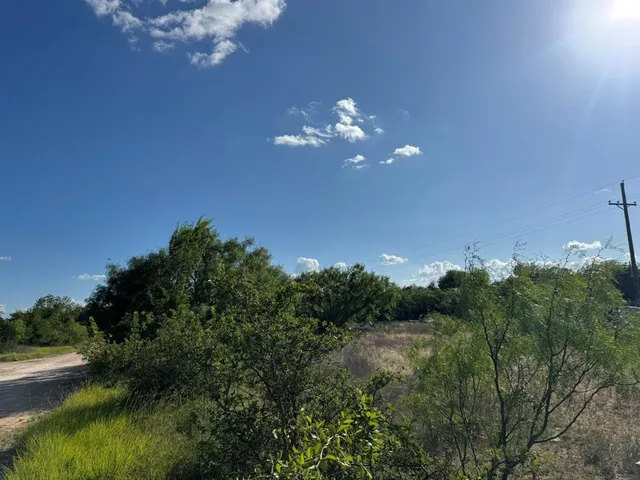 a view of a yard with a tree