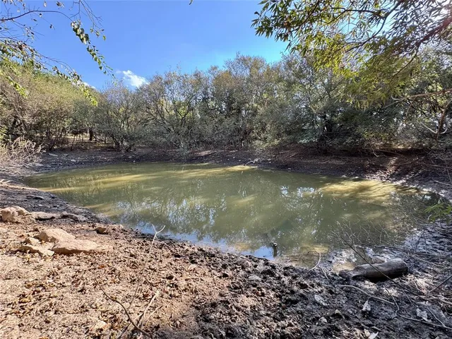 a view of a water with large trees
