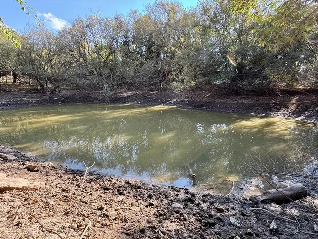 a view of a green yard