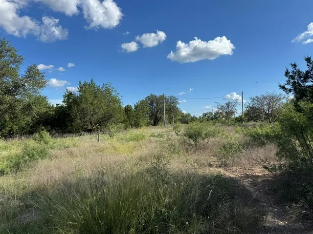 a view of a bunch of trees in a yard