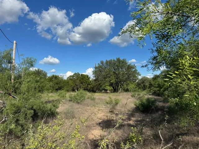 a view of a yard with a tree