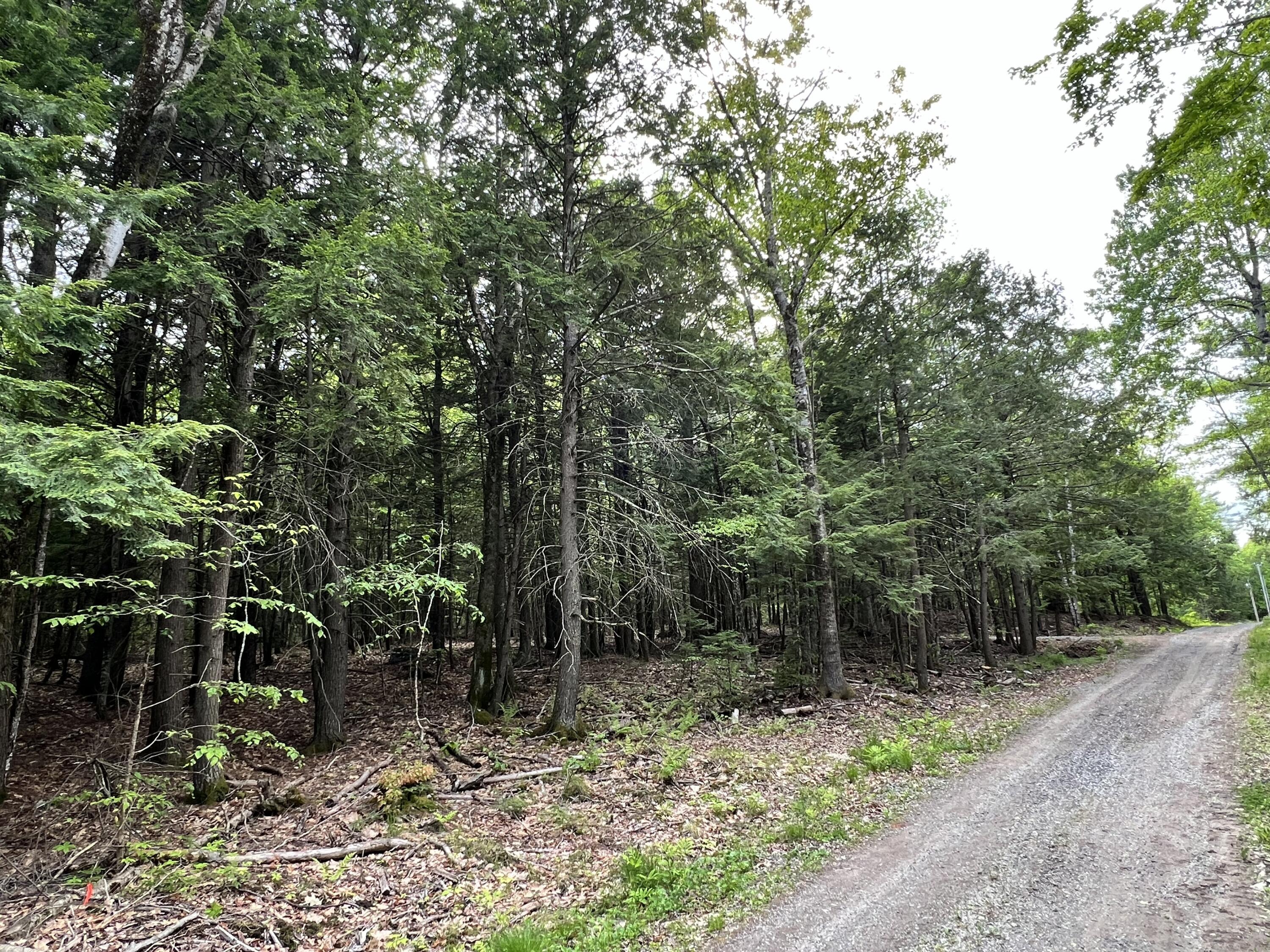 139 A Pratt Road Bowdoinham, ME 04008 - Photo 4 of 17 20
