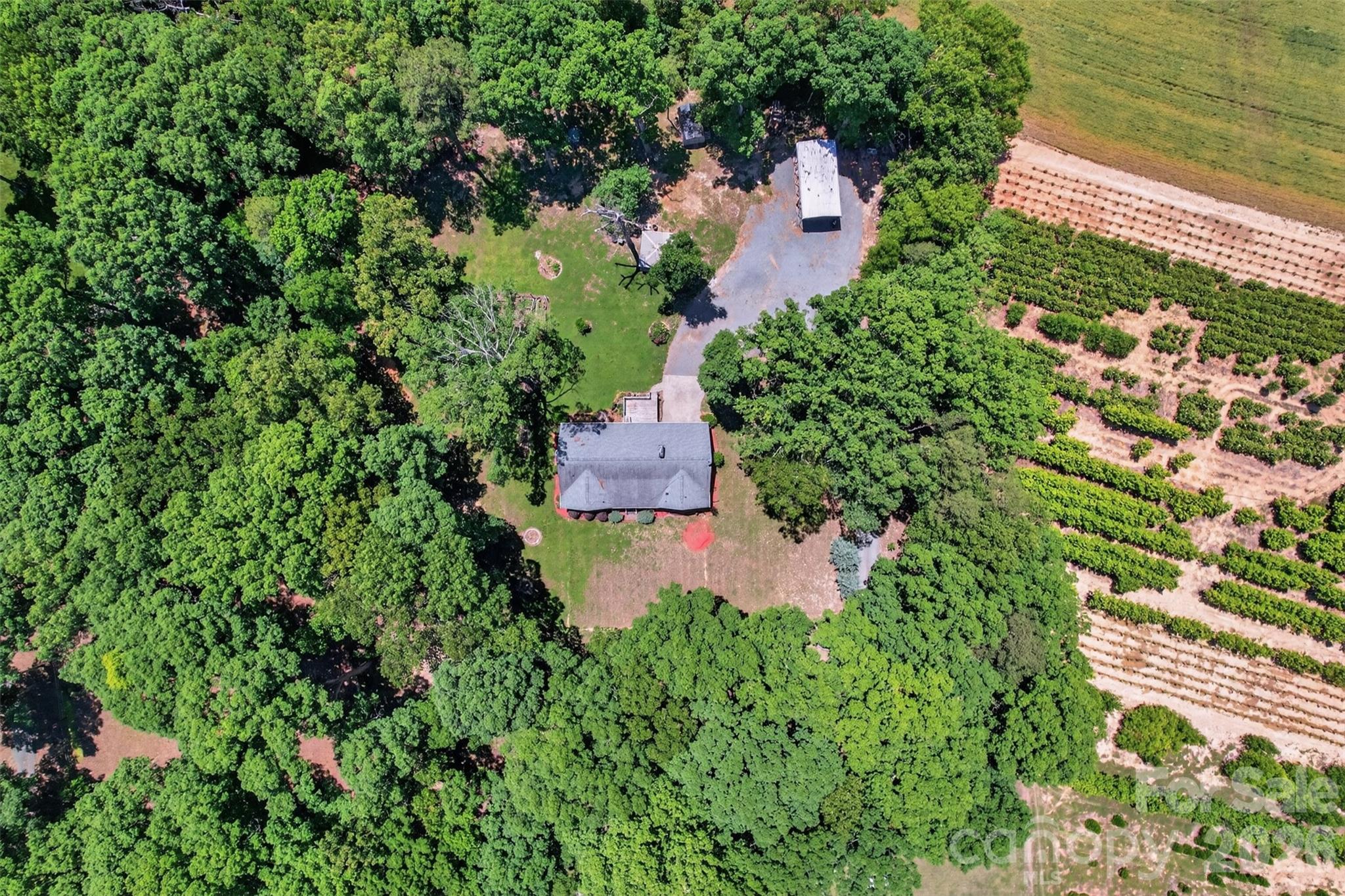 9807 Black Road Indian Trail, NC 28079 - Photo 39 of 42