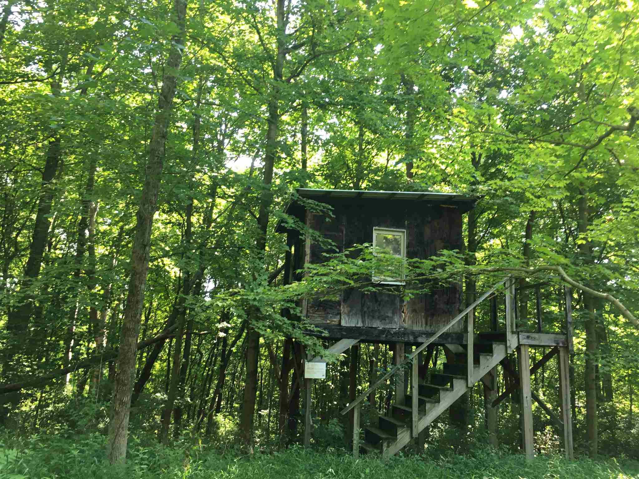 3369 Fender Road Melbourne, KY 41059 - Photo 41 of 50
