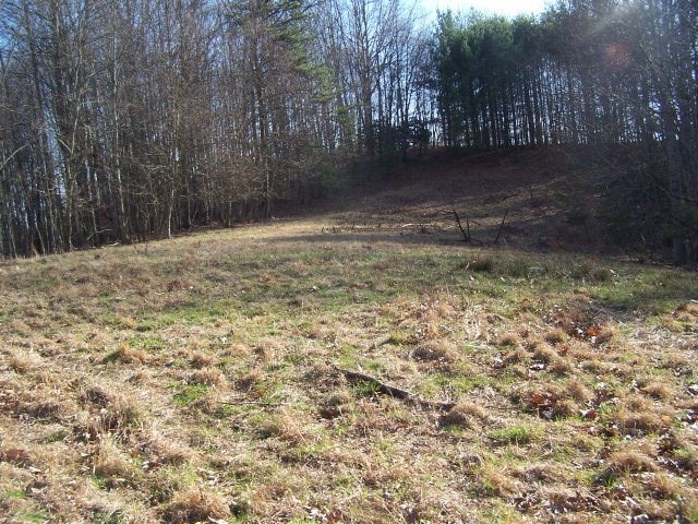 Tbd Pleasant Grove Road Independence, VA 24348 - Photo 2 of 7 Gallery Image 2