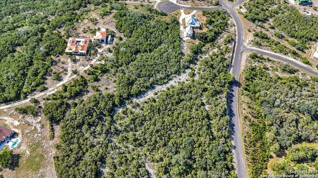a view of a yard with a palm tree