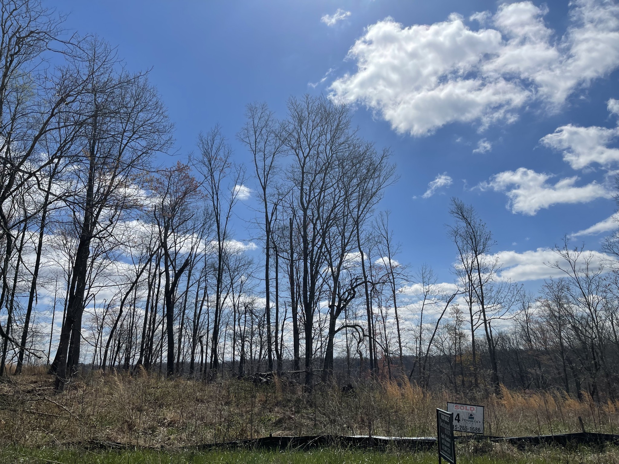 0 Peninsulas Edge Drive Sparta, TN 38583 - Photo 11 of 15 a view of outdoor space yard and patio