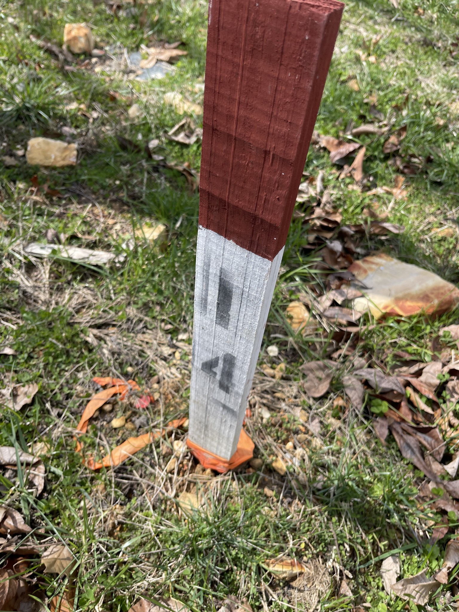 0 Peninsulas Edge Drive Sparta, TN 38583 - Photo 3 of 15 a view of outdoor space and yard